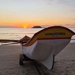 Temporada De Palmas Sc , Governador Celso Ramos Brasil